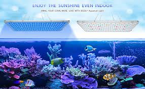 Amazon Com Bozily Aquarium Lights Led 300w Full Spectrum Coral Reef Light For Aquarium Tanks Lighting App Control With Auto On Off Dimming Timer For Saltwater Freshwater Fish Grow Marine Tank