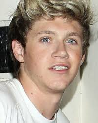 Niall james horan (born september 13, 1993) is a member of one direction along with harry styles, liam payne, and louis tomlinson. Niall Horan Won T Get A Tattoo Because He Has Better Things To Do With His Time Irishcentral Com
