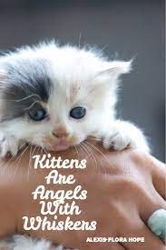 Kittens Are Angels With Whiskers Kitten Quotes Animals Kittens Cutest