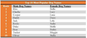 If you decide to go with a long dog name for your female dog, think about what the short version of this female dog name will be. How We Choose Our Dogs Names Psychology Today South Africa