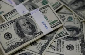 Image result for Dollars