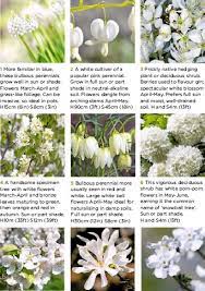 Maybe you would like to learn more about one of these? Name That White Spring Flower Pressreader