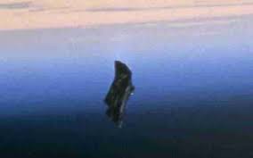 巨型ufo 黑暗骑士第2张https www etufo org whale animals