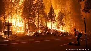 Alta colonna di fumo nero. Evacuan A Mas De 200 Campistas Por Otro Incendio Sin Control En California El Mundo Dw 07 09 2020