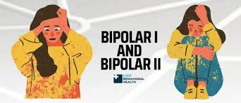 Image result for Bipolar Disorder