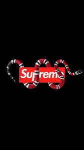 You can install this wallpaper on your desktop or on your mobile phone and other gadgets that support wallpaper. Create Meme Supreme Gucci Wallpaper For Your Gucci Supreme Gucci Snake Wallpapers 4k Pictures Meme Arsenal Com