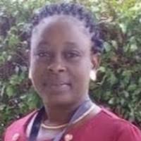 PDF) The Role of Tax Revenue and Foreign Direct Investment in Promoting  Economic Progress in Nigeria