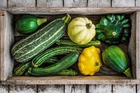 Pepitas, super moon, hijinks, blue prince. How To Shop For And Use Summer Squash Beyond Zucchini Martha Stewart