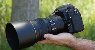 A Nikon D500 Review In The Hands Of A Wildlife Photographer Nikon D500 Nikon Dslr Camera Gopro Photography