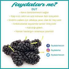 Organik Saglik Dut Un Faydalari Nelerdir Saglikli Saglikli Gidalar Dogal Saglik