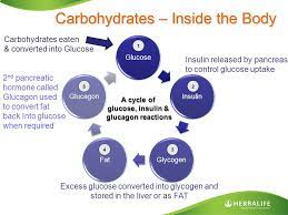 Outside of fiber you can find carbohydrates as starches or sugars in the food we consume. Carbohydrates Carbohydrates What Is A Carbohydrate A Major Source Of Energy Simple Carbohydrates Simple Sugars Complex Carbohydrates Include Starches Ppt Download