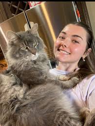 Missing Cat Peter in Durant, Oklahoma