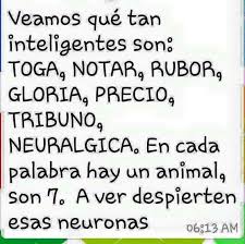 Los juegos mentales y sus respuestas o juegos de inteligencia, potencian habilidades y aptitudes que inciden desarrollo cognitivo utilizando juegos mentales. Imagen Relacionada Juegos Mentales Reto Mental Mentalidad