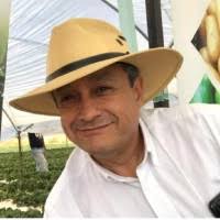 80+ perfiles de «López-estrada»