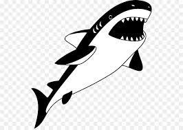 Jual stiker dinding decal desain ikan hiu hitam putih dapat dicopot jakarta pusat barokah urip tokopedia. 26 Gambar Ikan Hiu Kartun Hitam Putih Kumpulan Gambar Kartun