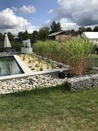 Sichtschutz Der Treffpunkt Fur Schwimmteich Und Naturpool Freunde Natur Pool Schwimmteich Teich