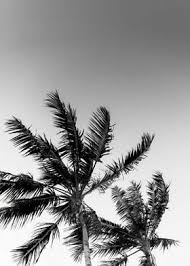 See more ideas about palm trees, aesthetic wallpapers, scenery. Palm Tree Aesthetic Poster By Word Fandom Displate