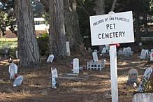 Nestled in the countryside of north carrollton, on land owned and. Pet Cemetery Wikipedia