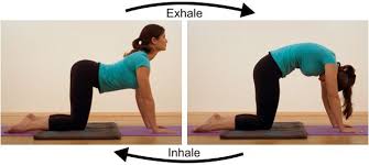 Pin On Yoga Poses