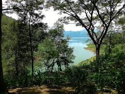 Lokasi Dan Harga Tiket Masuk Ranu Gumbolo Tulungagung Spot Wisata Danau Indah Yang Mempesona Daka Tour