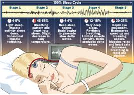 Based on the length of each rem sleep episode, dreams can likely last anywhere from a few minutes to upwards of half an hour. How Do Dreams Work Siowfa16 Science In Our World Certainty And Controversy