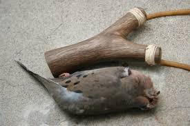 Huilota Morning Dove Down Slingshot Hunting Slingshot Forum