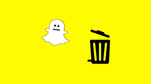 حذف السناب
