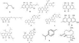 Image result for Psorospermum mechowii