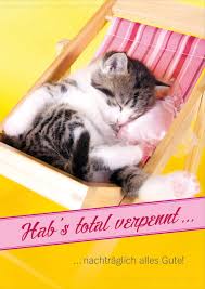 Doppelkarte Geburtstag Vergessen Schlafende Katze Habs Total