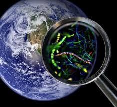 بحث عن علم الاحياء المرسال