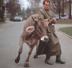 Botulismus ist eine lähmende muskelerkrankung, die durch das toxin eines bakteriums, des sogenannten clostridium botulinum, verursacht wird. Erkrankungen Des Gehirns Rm Der Nutztiere Flashcards Quizlet