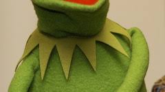 Not hear kermit not see. Kermit The Frog Cocaine