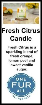 Go to your cart or just checkout directly and find the box to apply coupon code 100 Pet House Candles Ideas Hand Poured Candle Home Candles Animal House