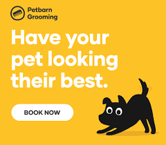 This means regular cleaning is necessary to prevent stains from setting in. How To Clean The Tear Stains Around My Dog S Eyes Petbarn
