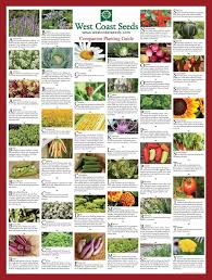 Companion Planting Companion Gardening Companion Planting