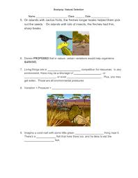 Based on what you know about darwinian evolution and natural selection, evaluate and grade how well each answer. Brain Pop Natural Selection Worksheet