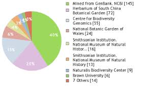 Image result for Lactuca lasiorhiza