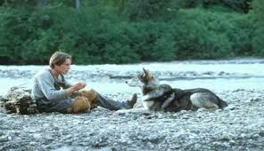 weedon scott and white fang on the river bank live action movie dog movies action movies