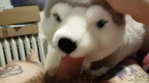 Blowjob from my plushie husky and finished with a masturbation - XVIDEOS.COM