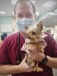 Check spelling or type a new query. Academy Pet Hospital Fayetteville Nc
