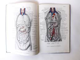 1940s Medical Book Anatomical Atlas Of The Human Body Nurses Etsy Medical Gifts Nurse Etsy Nurse