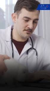 The FVMA is proud to introduce our members and nonmembers to Dr. Steve  Steverson. More than just the current treasurer of our executive board, he  has served behind the scenes of the