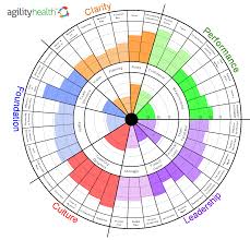 Agile Team Health Assessment Tool Agilily Health Radar