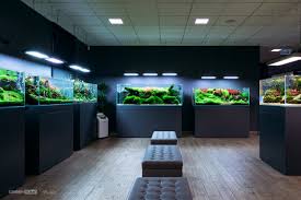 His workshop was streamed live from green aqua budapest; Green Aqua Linkedin