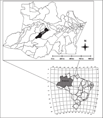Mapa do Estado do Amazonas, em destaque o município de Tefé (SILVA... |  Download Scientific Diagram