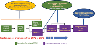 Image result for BCL2 Inhibitor