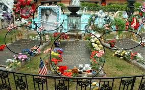 Check spelling or type a new query. Graceland And The Presleys Grave Yard The Official Clubpenguin Elvis Site