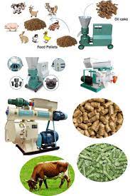 Poultry Feed Pellet Mill Manufacturing Process Report In 2021 Poultry Feed Food Animals Poultry