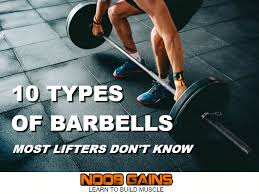 This layer of oxidation will protect the barbell from forming surface rust as easily. 10 Types Of Weightlifting Bars Barbells Lifters Should Know Noob Gains