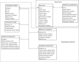 Frontiers Collating And Curating Neuroanatomical